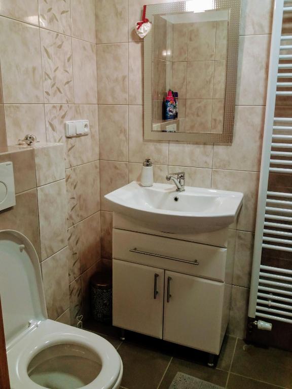 Koupelna v ubytování Apartmá Za kopcem