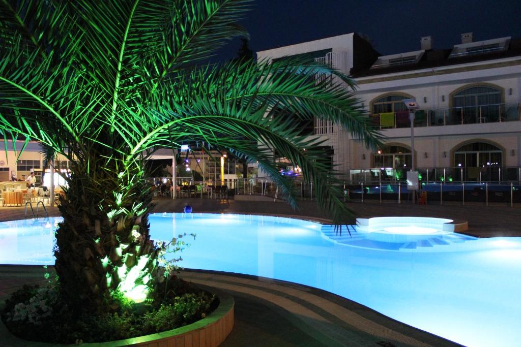 a palm tree in front of a swimming pool at night at Forum Residence Hotel in Marmaris