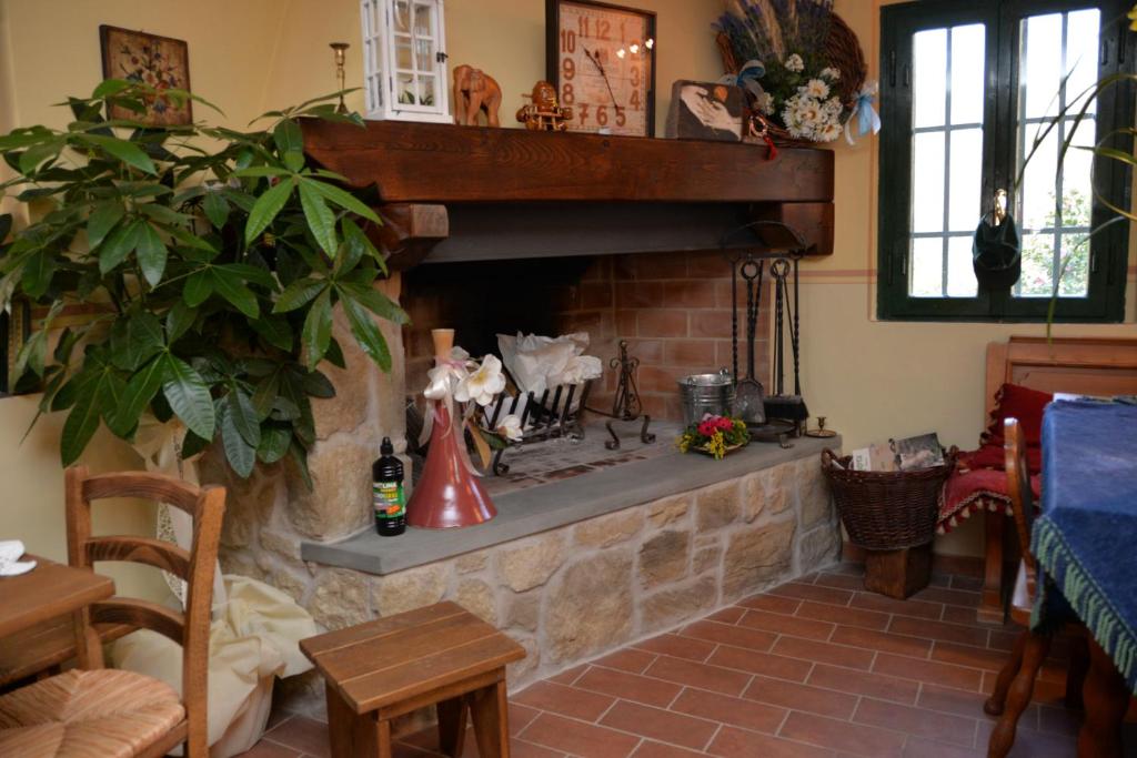 a living room with a stone fireplace with a plant at Agriturismo Campofiorito in Monsummano Terme