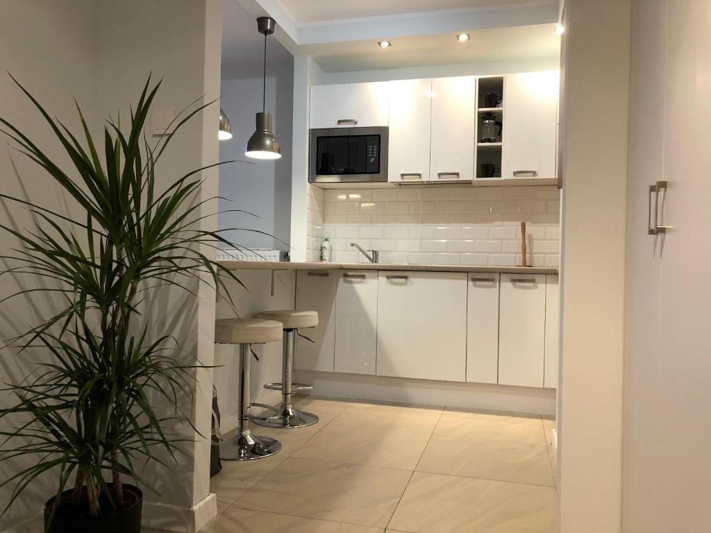 a kitchen with white cabinets and a potted plant at Airport Apartment Warszawa in Warsaw