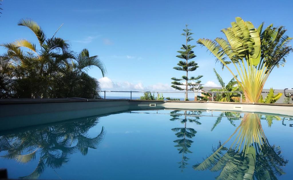 a swimming pool with palm trees and a blue sky at Villa Moai 974 in Saint-Leu