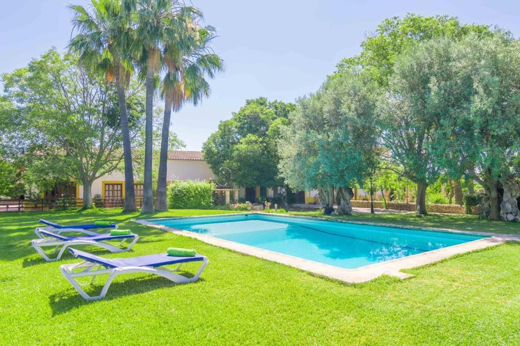 una piscina en un patio con tumbonas y árboles en Agroturismo Finca Son Amora en Palma de Mallorca