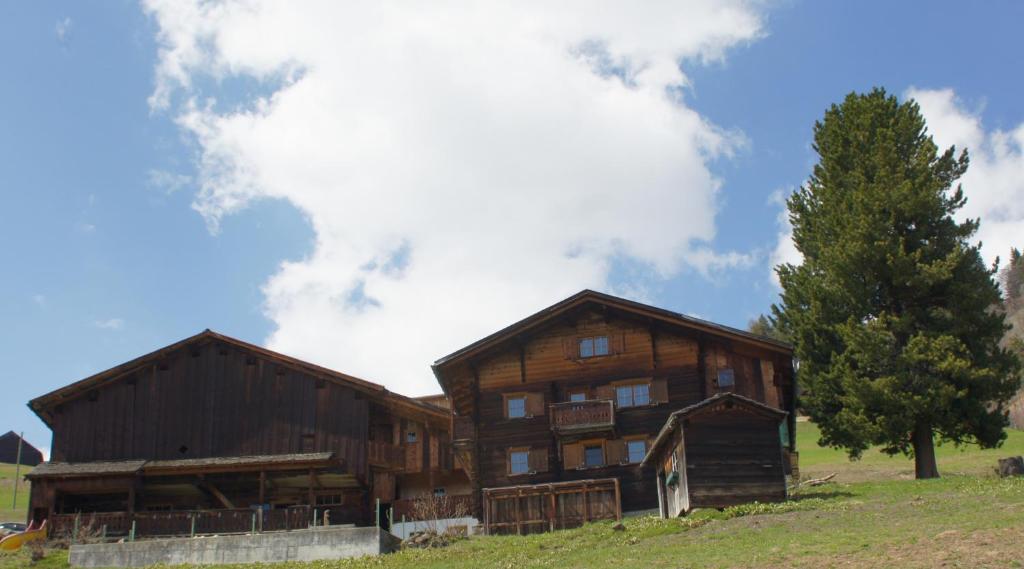 a large wooden house in a field with a tree at Moserhuus in Furna