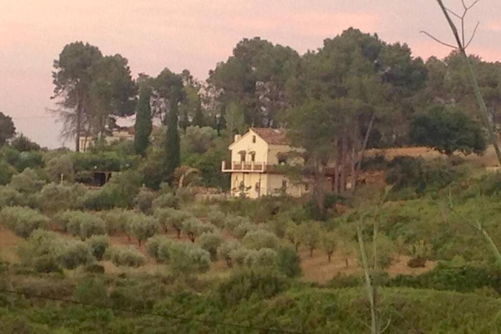 ein Haus an der Seite eines Hügels mit Bäumen in der Unterkunft Casa La Paransa - Casa Rural con Piscina - Relajarse y Desconectar in Yátova