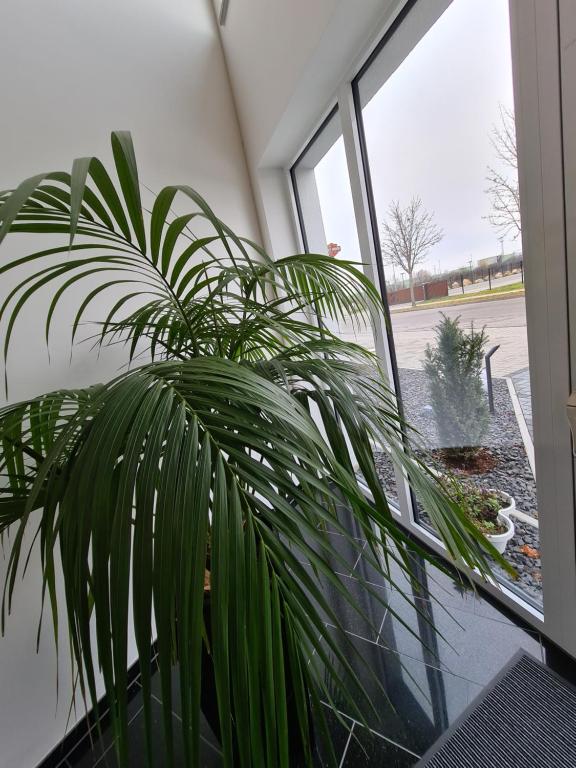 Fotografie z fotogalerie ubytování Hotel Starton am Ingolstadt Village v destinaci Ingolstadt