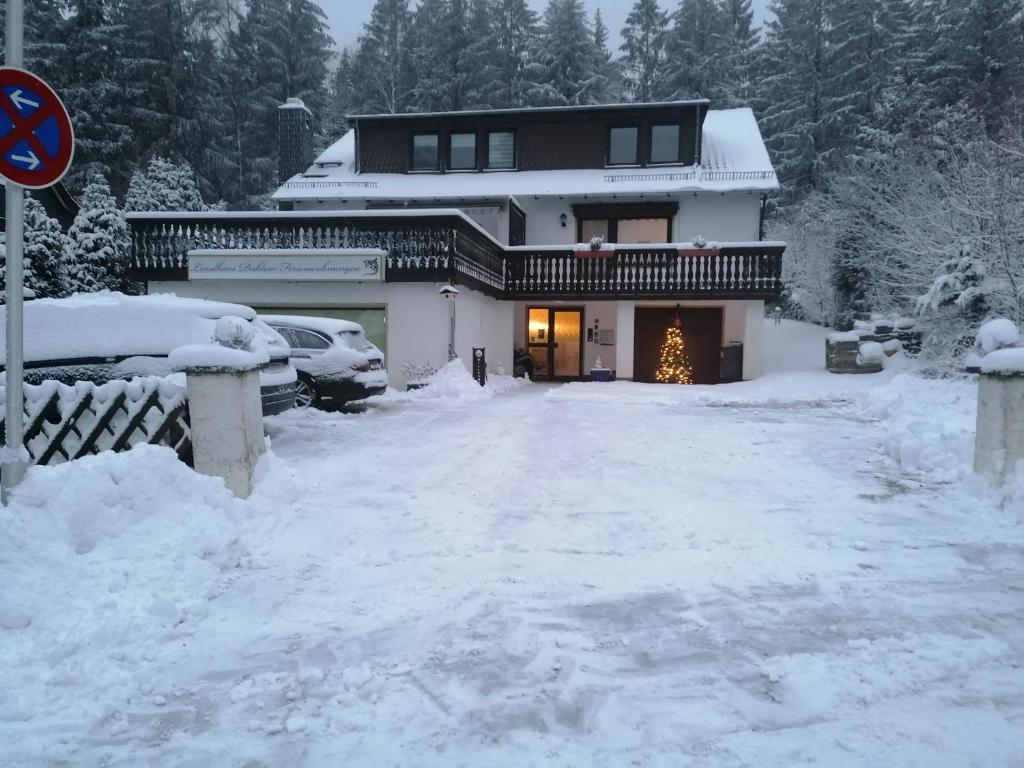 een huis met een kerstboom in de sneeuw bij Landhaus Dahlem in Hahnenklee-Bockswiese