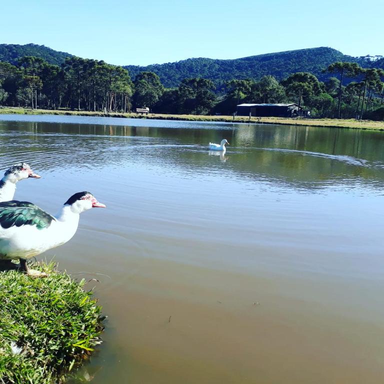  Pousada Lago da Colina