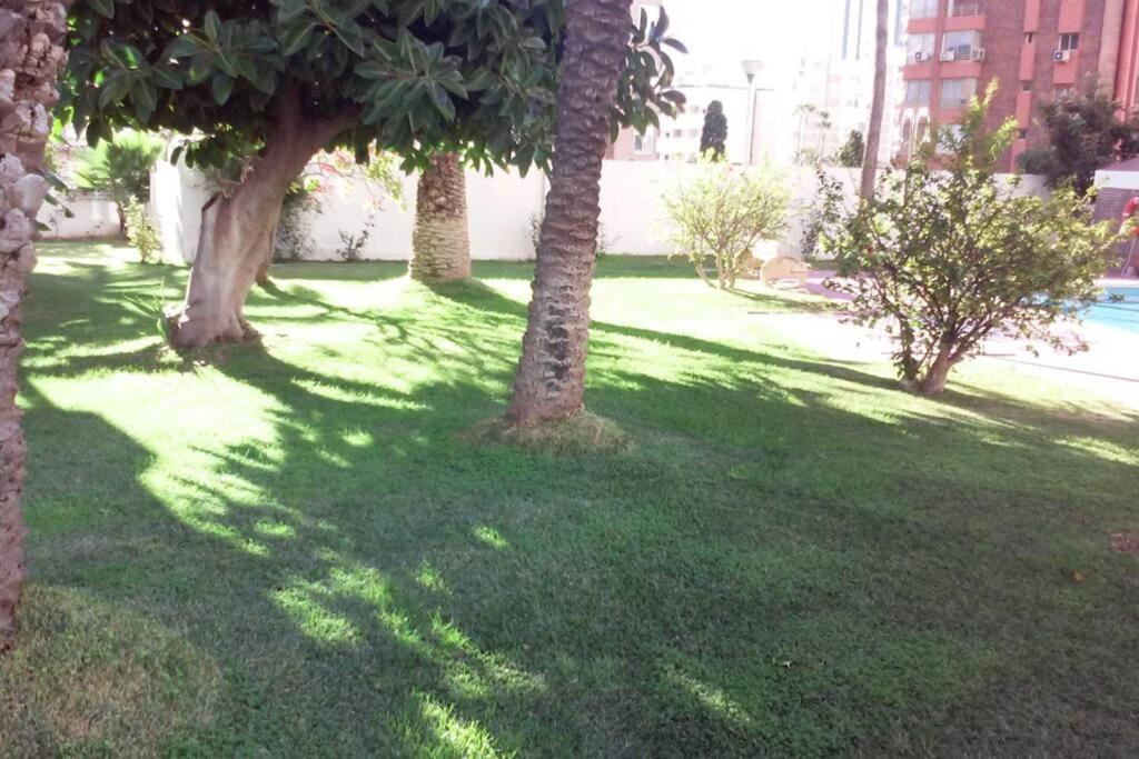 Vonkajšia záhrada v ubytovaní Apartamento Alteanos, centrico y confortable, soleado, con piscina y jardines, tenis, parking exterior comunitario, y la playa andando 10 min