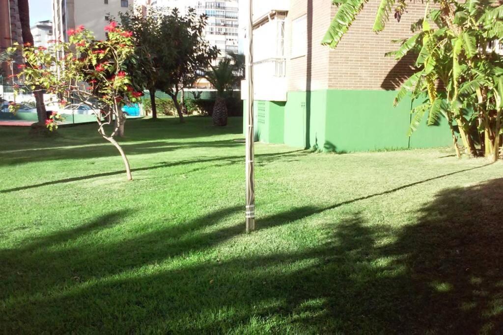 Vonkajšia záhrada v ubytovaní Apartamento Alteanos, centrico y confortable, soleado, con piscina y jardines, tenis, parking exterior comunitario, y la playa andando 10 min
