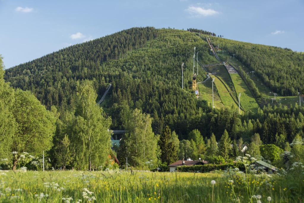 Příroda nedaleko apartmánu