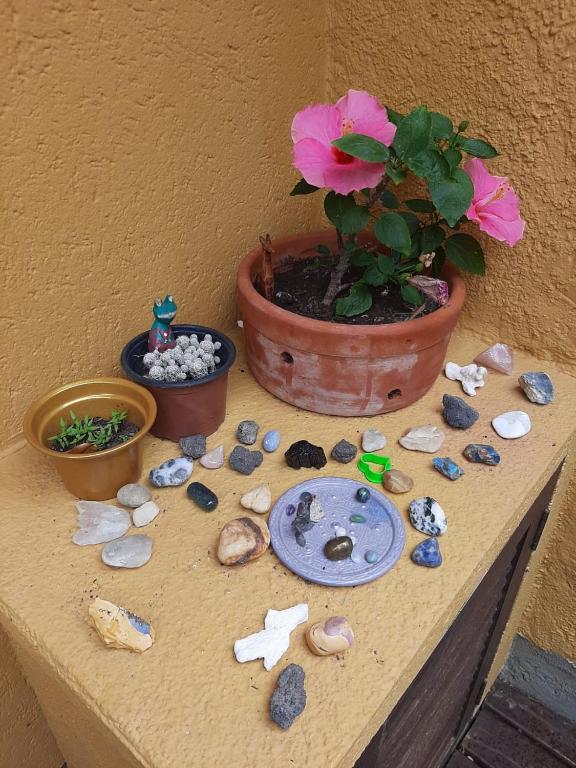  Charmosa e espaçosa casa no Novo Campeche