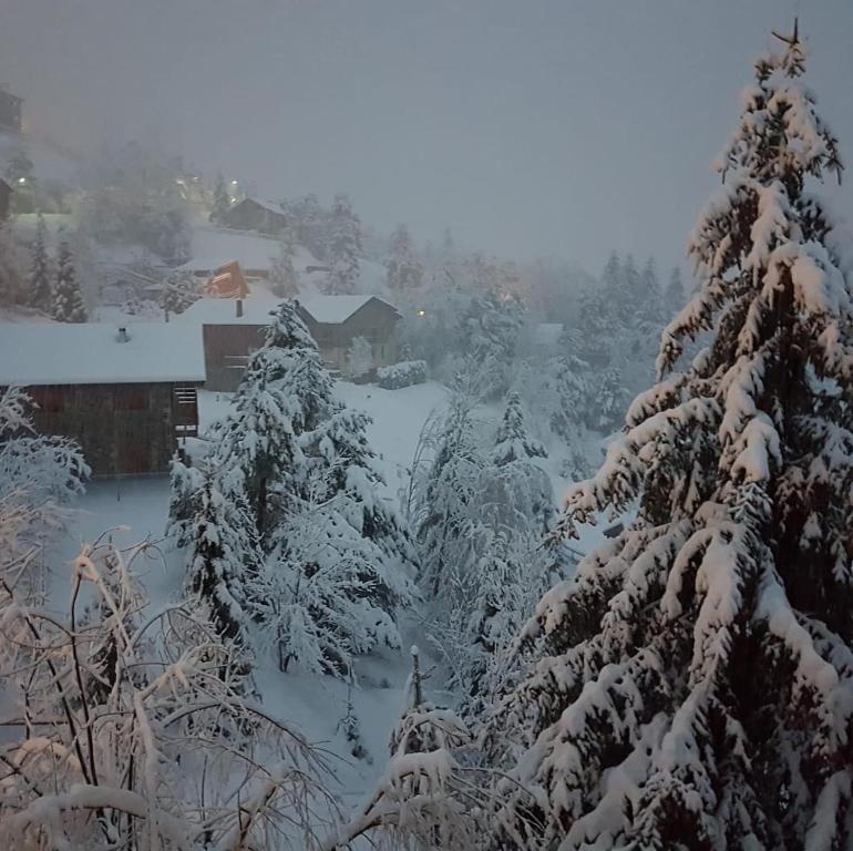 Panoramic Xalet la Molina con Vistas Excelentes during the winter