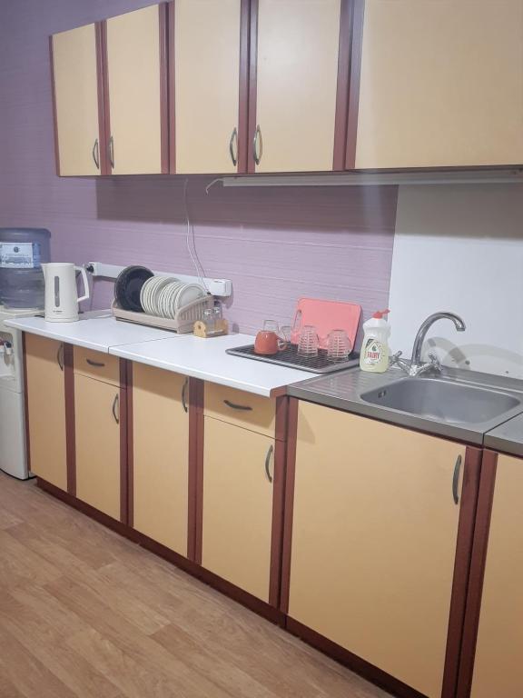 Kuchyň nebo kuchyňský kout v ubytování Hotel Aleksandria