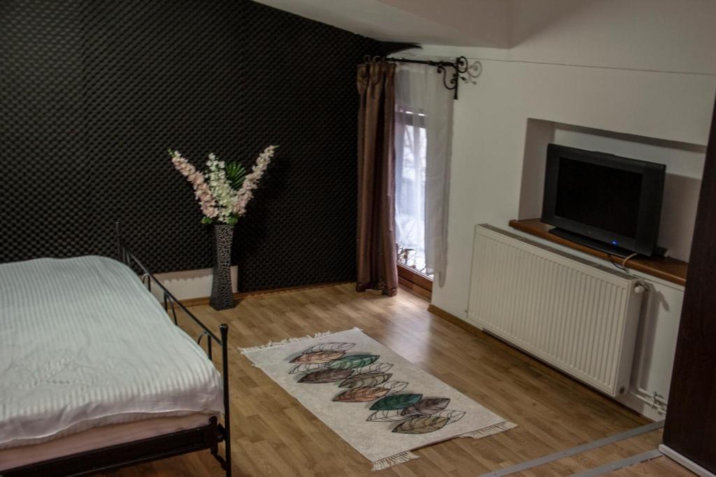 TV a/nebo společenská místnost v ubytování Happy Accomodation