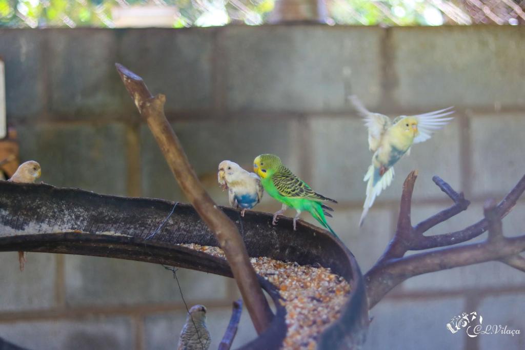  Pousada e Restaurante Victórios