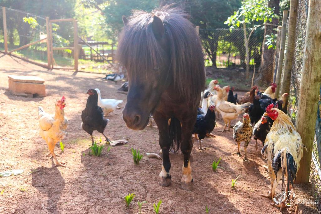  Pousada e Restaurante Victórios