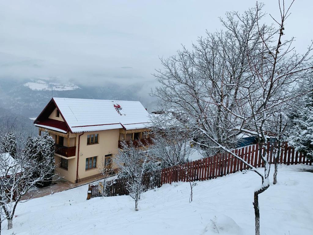 a house covered in snow with a fence and trees at Cabana Muntele Paltinei in Someşu Rece