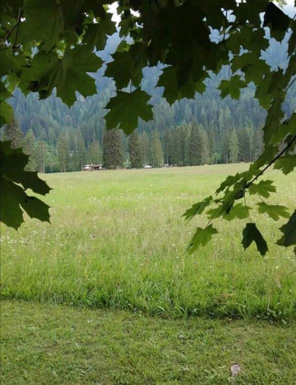 Příroda nedaleko apartmánu