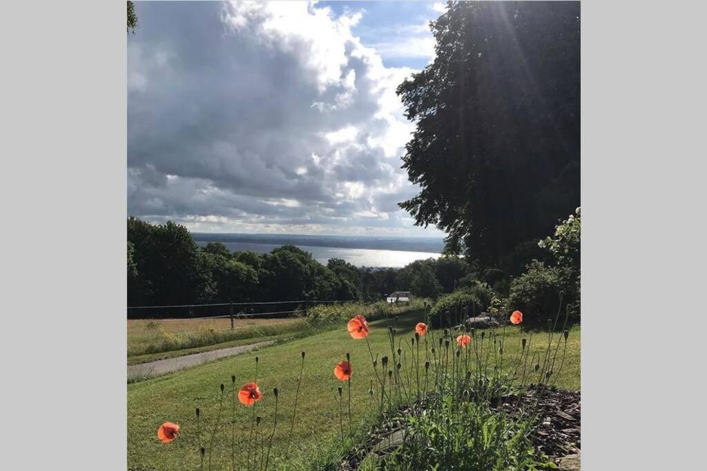 un campo de amapolas rojas con el océano en el fondo en Villa med fantastisk utsikt, en Båstad