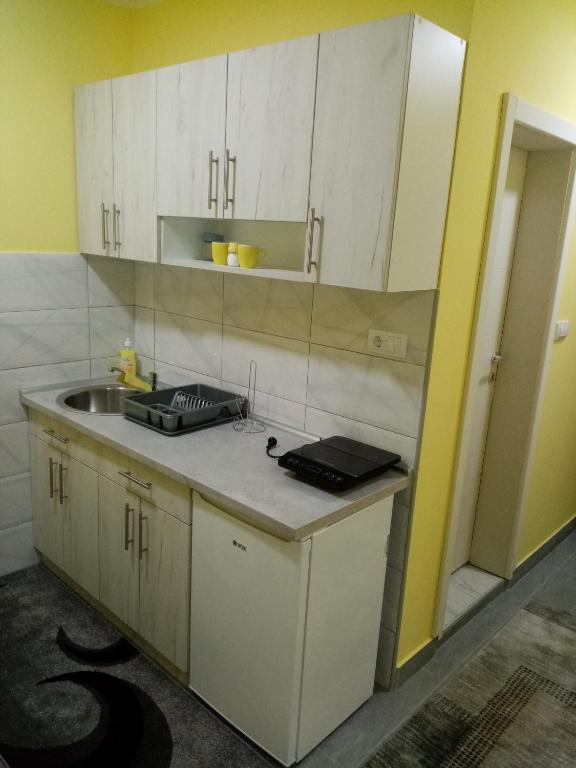 Kuchyň nebo kuchyňský kout v ubytování Apartmani SAN