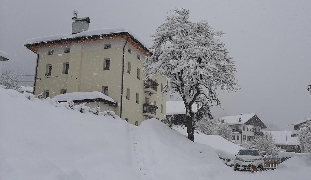 B&B SognoInCadore v zimě