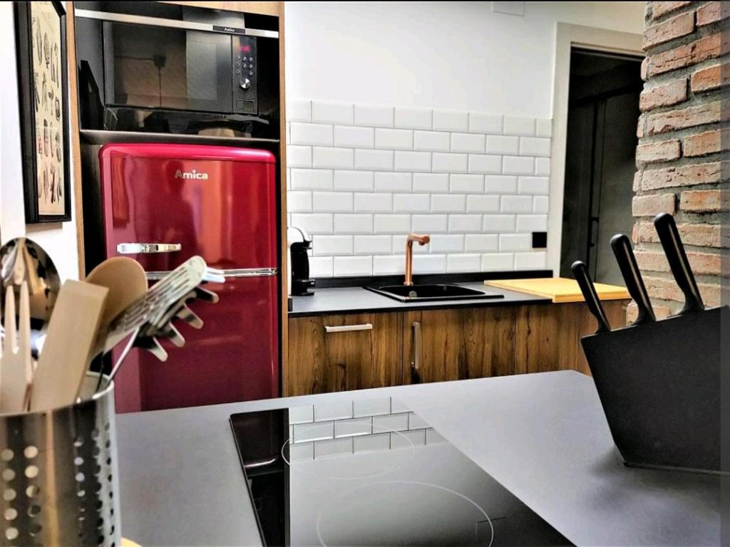 Kuchyň nebo kuchyňský kout v ubytování Suite Haus Vargas