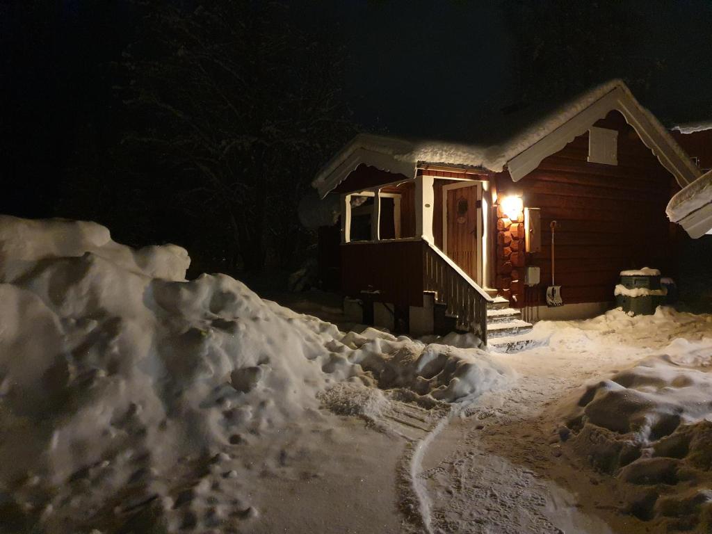 Backamgården v zimě