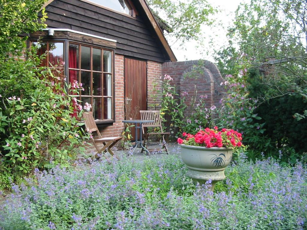 a garden with a pot of flowers in front of a house at Selatuinen in Appelscha