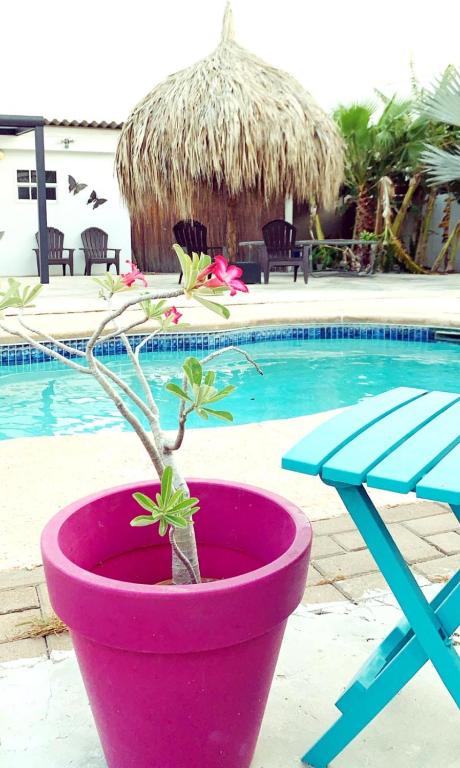 Bazén v ubytování Apartment Curacao nebo v jeho okolí