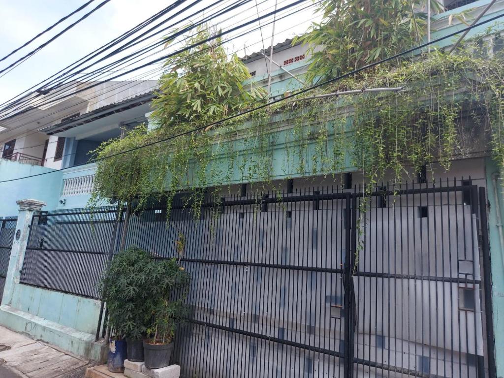 einen Zaun mit Pflanzen an der Seite eines Gebäudes in der Unterkunft Eiffel Residence Petojo - Female Only in Jakarta