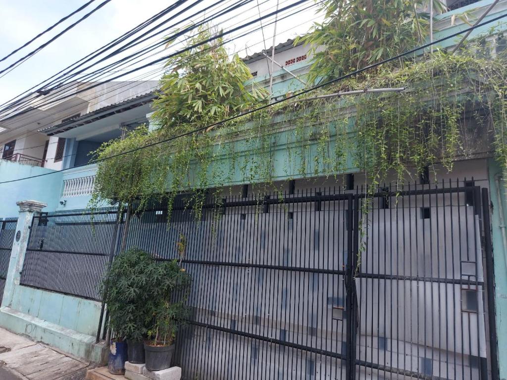 a fence with plants on the side of a building at Eiffel Residence Petojo - Female Only in Jakarta