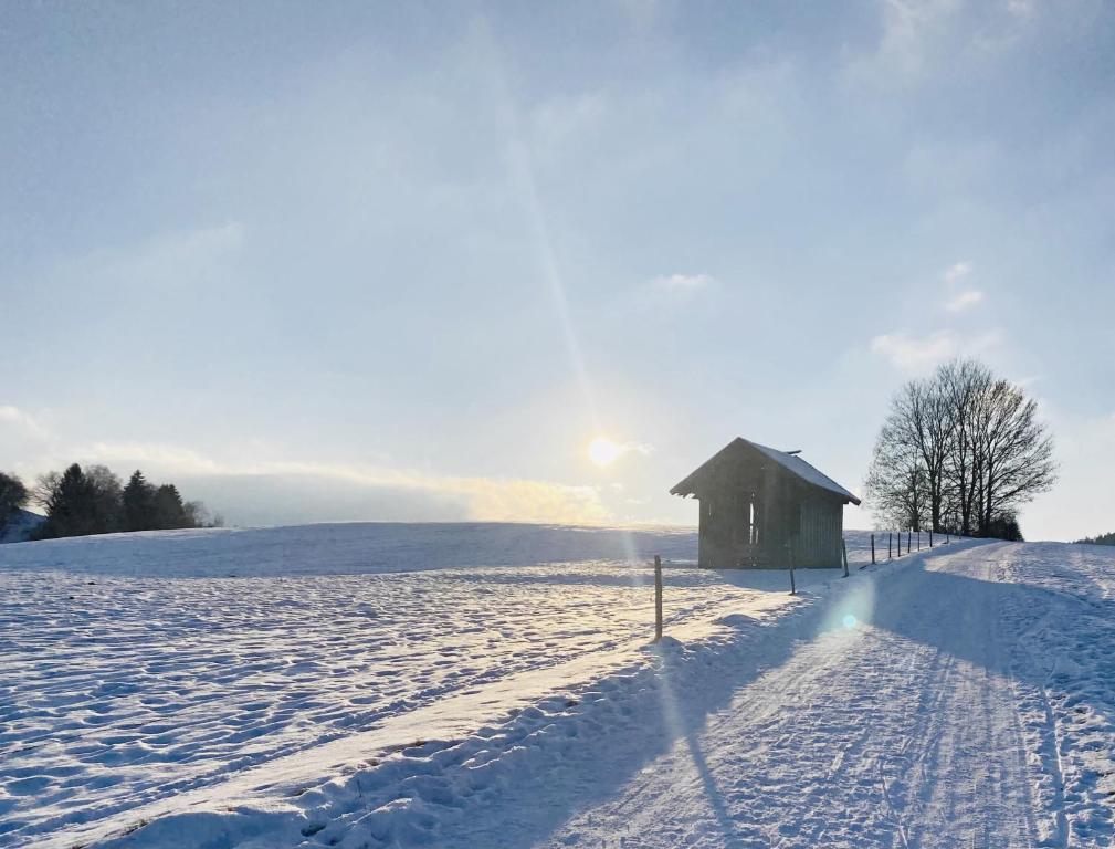 ALPEN WOHLFÜHLQUARTIER v zimě