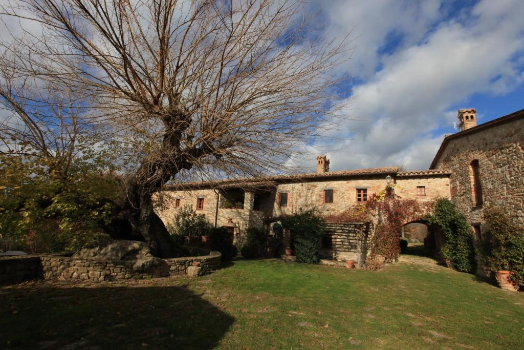 une vieille maison en pierre avec un arbre dans la cour dans l'établissement Antico Gelso, à Todi