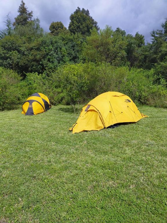Fotografie z fotogalerie ubytování Camp Mahon Gardens v destinaci Nanyuki