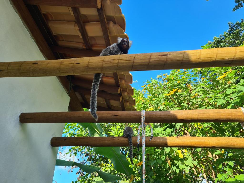  Vila Nirvana Pipa