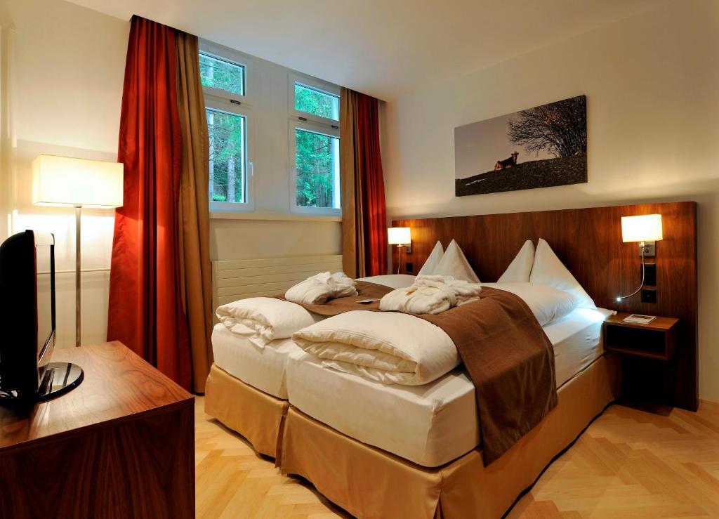 Waldhotel & SPA Davos - for body & soul - Habitación Doble Estándar Con Vista Al Bosque