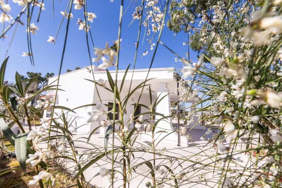 a white building in the background with white flowers at Casina Anna Maria in Francavilla Fontana