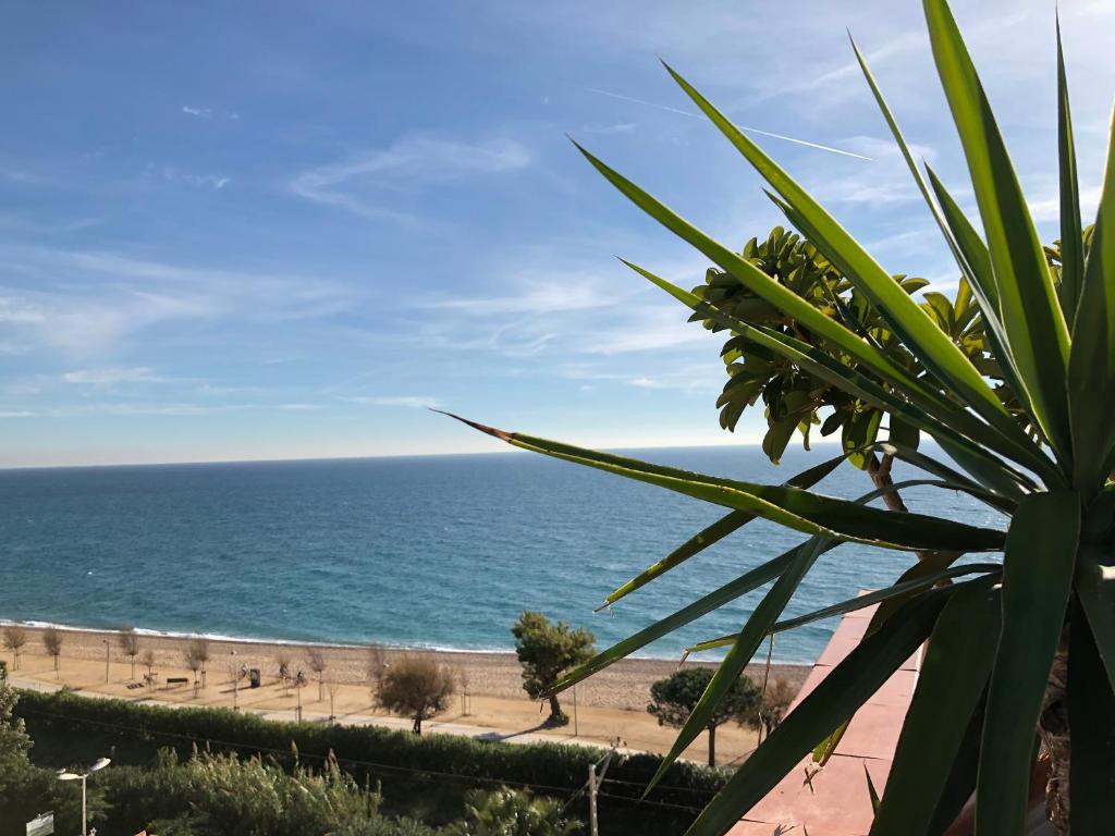 a view of the beach from a plant at VicAm Atico Duplex in Pineda de Mar