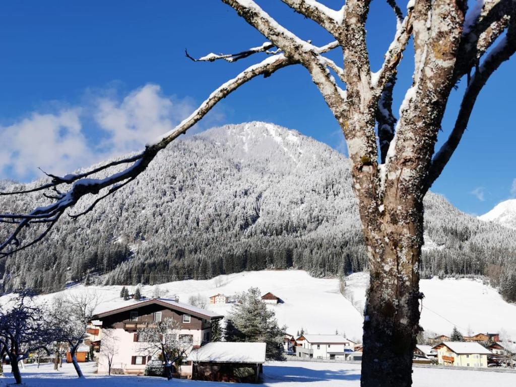 Nespecifikovaný výhled na hory nebo výhled na hory při pohledu z hotelu