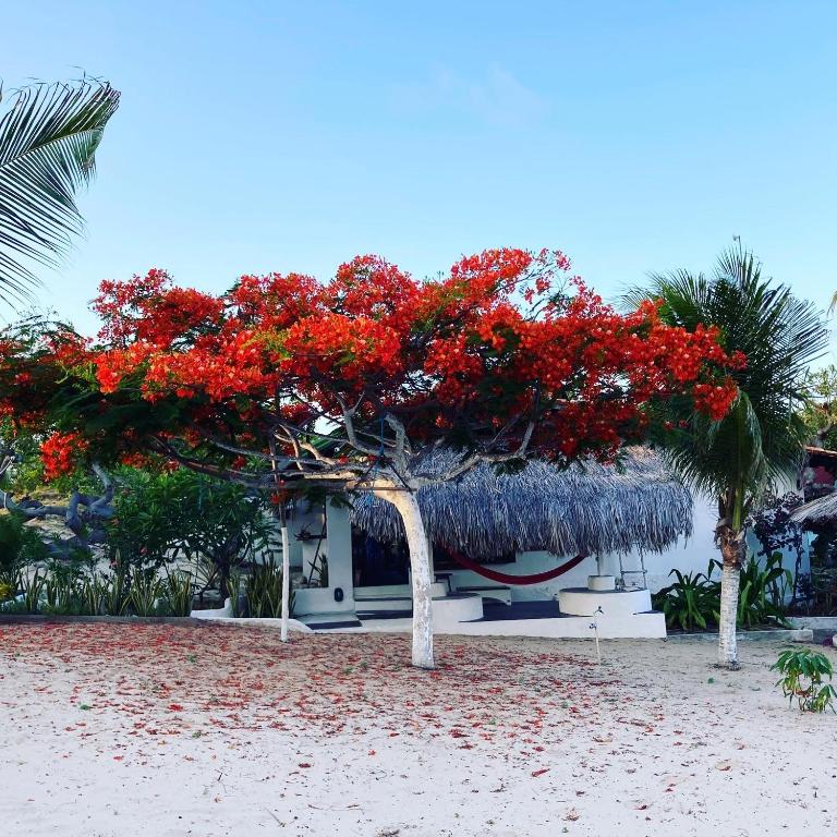  Casa Acquamarina
