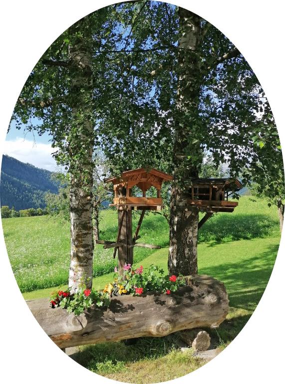 Vonkajšia záhrada v ubytovaní Haus zur Mühle