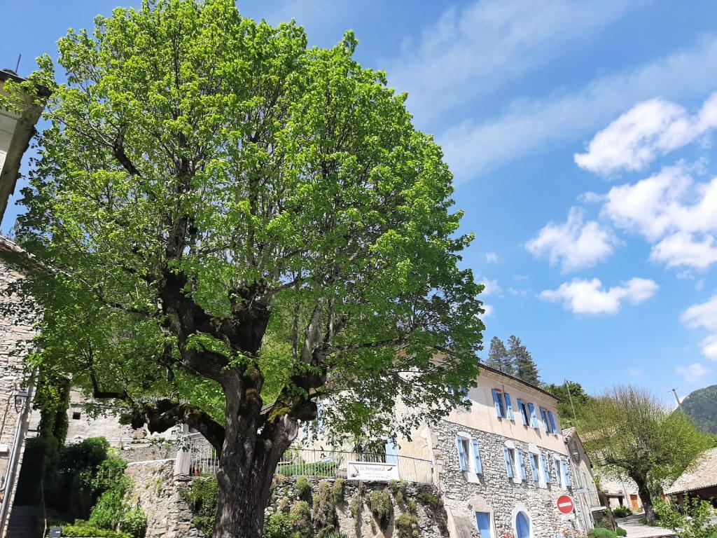 un grand arbre devant un bâtiment dans l'établissement Le Sareymond, à Menée