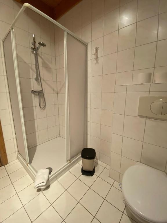 a bathroom with a shower and a toilet at Störitzland Betriebsgesellschaft mbH in Grünheide