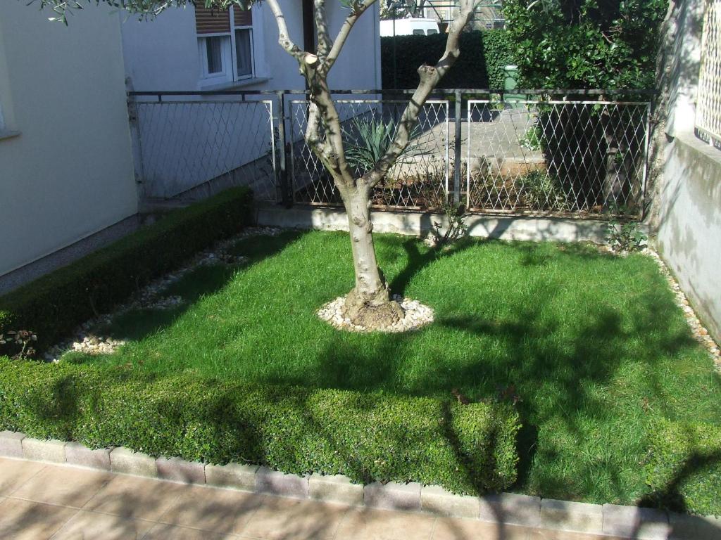 Zahrada ubytování Apartment Singa