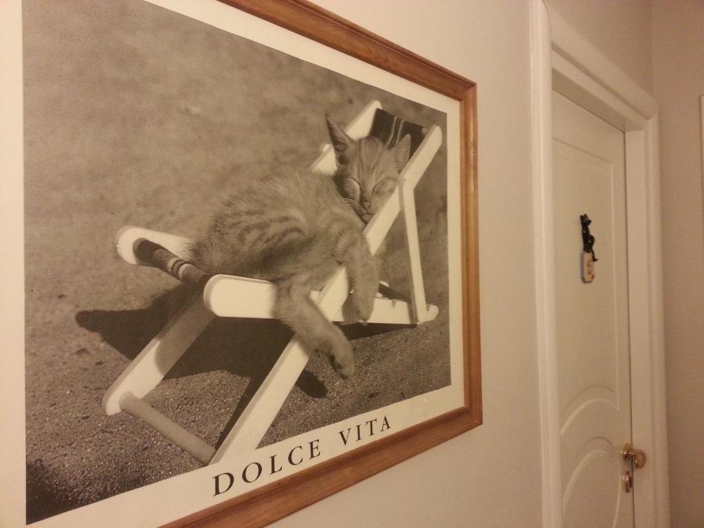Fotografie z fotogalerie ubytování Hotel Il Gatto v destinaci Rapallo