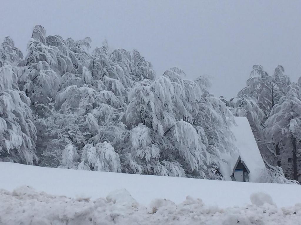 Golija Vikendica Česta Vrela