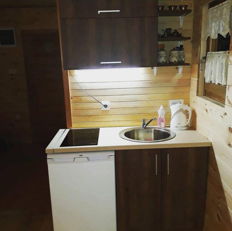 Kuchyň nebo kuchyňský kout v ubytování Holiday home Beba