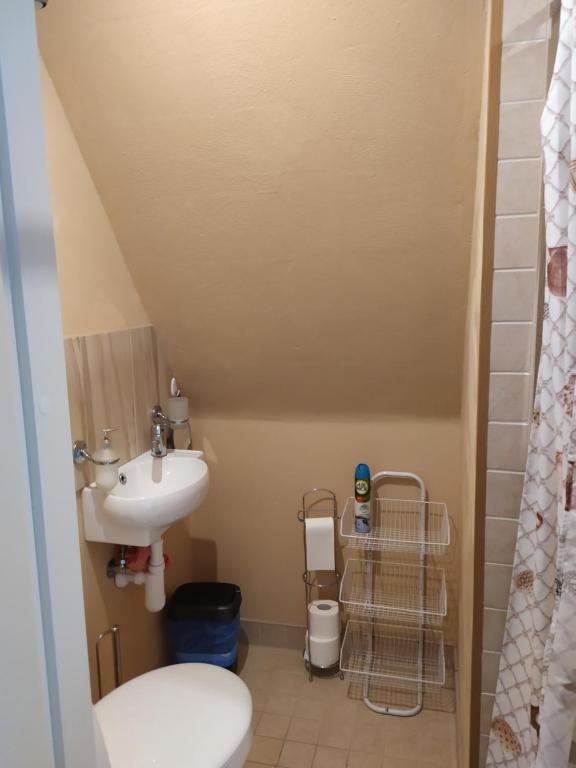 Koupelna v ubytování Ele kodumajutus