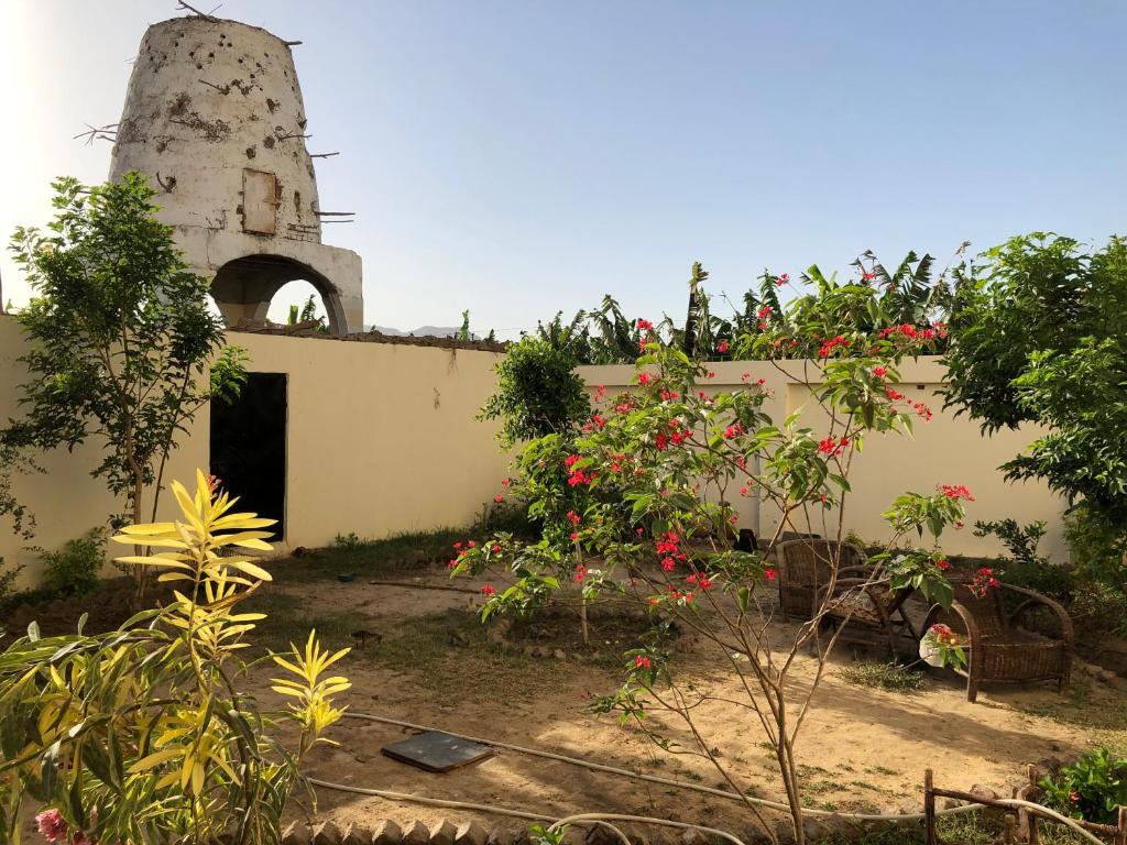 Zahrada ubytování Elsanosy Family Guest House - Luxor