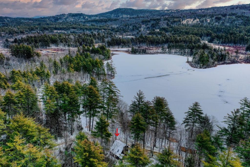an aerial view of a lake in a forest at Cozy in the Woods in Madison